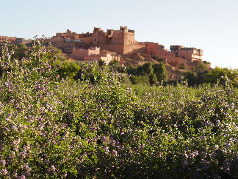 Saghro